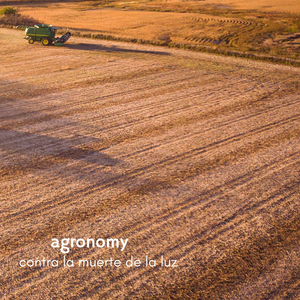 影音先锋在线观看视频
