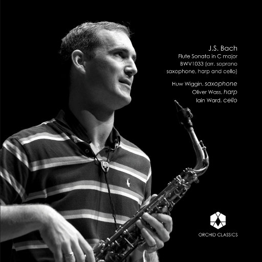 影音先锋在线观看视频
